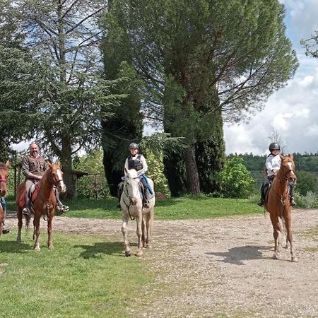 All'Antico Silbule Capolona Exteriér fotografie