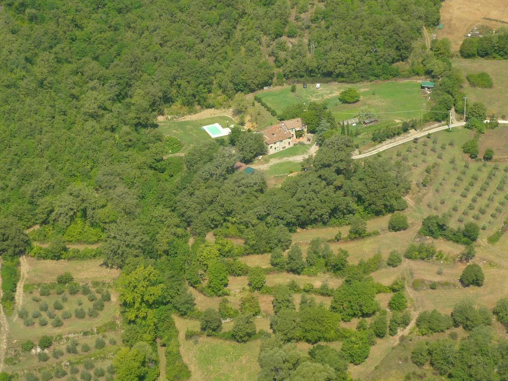 All'Antico Silbule Capolona Exteriér fotografie